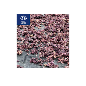 BEST CHOICE Safe Clean Eco Dried Seamoss Pure <b>Seaweed</b> Item Best For Skin Care And Dessert Preparation Direct Price - Product Image 1