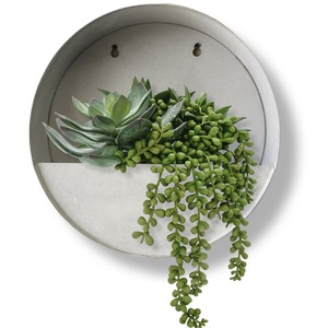 Jardinière murale minimaliste en béton, support circulaire pour plantes succulentes, pot suspendu idéal pour la décoration intérieure et extérieure, provenant d'Inde - Product Image 1