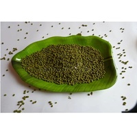 Haricots Mungo Biologiques Séchés en Vrac pour l'Exportation (Supermarchés & Services Alimentaires) – Prix Usine 50kg