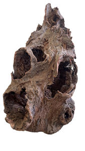 Pot de fleurs en forme de souche d'arbre naturelle - Product Image 6