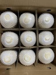 มะพร้าวอ่อนเวียดนามสด ทั้งลูก ปอกเปลือก หัวตัดเพชร หวานธรรมชาติ มะพร้าวพรีเมียม ผลไม้เมืองร้อน ส่งออก ขายส่ง - Product Image 4