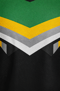 Jersey de Hockey sobre Hielo Personalizable para Hombre, Cuello en V, Manga Tres Cuartos, Rayas Verdes, Negras y Amarillas, Prenda Sublimada de Poliéster - Product Image 4