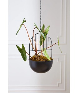 Pot de fleurs suspendu en métal noir moderne avec un design circulaire pour les plantes vertes d'intérieur - Product Image 3