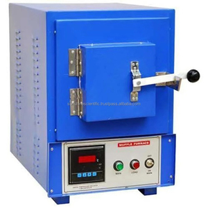 Horno de mufla eléctrico de acero dulce de alta calidad y gran demanda, con recubrimiento en polvo y controlador PID, de origen indio. - Product Image 1