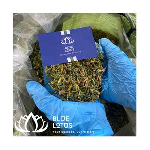 Produit phare : Tisane de fleurs de papaye séchées pures de qualité supérieure, boisson à base de plantes durable, Blue Lotus Gold, vente en gros et exportation - Product Image 1