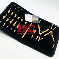 Nouveautés : Kit d'outils pour extensions capillaires couleur personnalisée, pinces en acier inoxydable de qualité chirurgicale, clips, aiguilles en C, perles, boucles