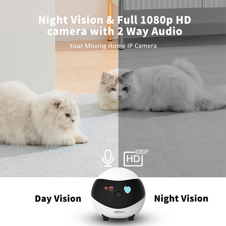 Nueva aplicación inteligente Control Ebo Se Pet Companion Robot Camera Electron Interactive Robotic Toys para Cat Children The Aged