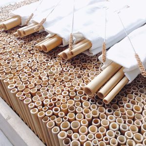 Pajitas de Coco, Pajitas de Bambú, Precio al por Mayor de Pajitas Reutilizables/Desechables/Organicas para Bebidas, de Vietnam - Product Image 6