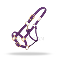 Harnais de cheval en nylon réglable, collier de tête durable, harnais équestre