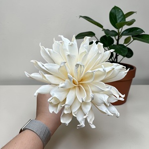 Fleurs artisanales durables en bois de Sola blanc (Spider Mum), taille : 8,5 cm, tige en fibre de plantes de Sésbania de Thaïlande - Product Image 3
