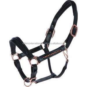 Cabestro de cuero personalizado de alta calidad con nombre, fabricante mayorista - Product Image 3