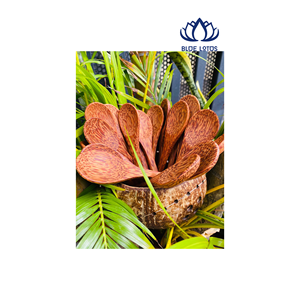 Cuillère en bois de coco de qualité supérieure, très vendue |   Vaisselle naturelle, sûre pour les aliments et durable - Product Image 1