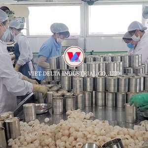 Vente Flash : Litchis en Conserve avec Service OEM de Marque Privée pour le Marché Américain - Product Image 2