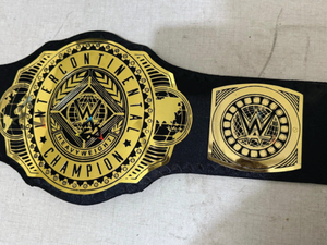 Custom W-W-E INTERCONTINENTAL World Championship Title Fan Belt Brass 4mm Adult Size - Gold Plated Metal Plates & Leather Strap - Product Image 3