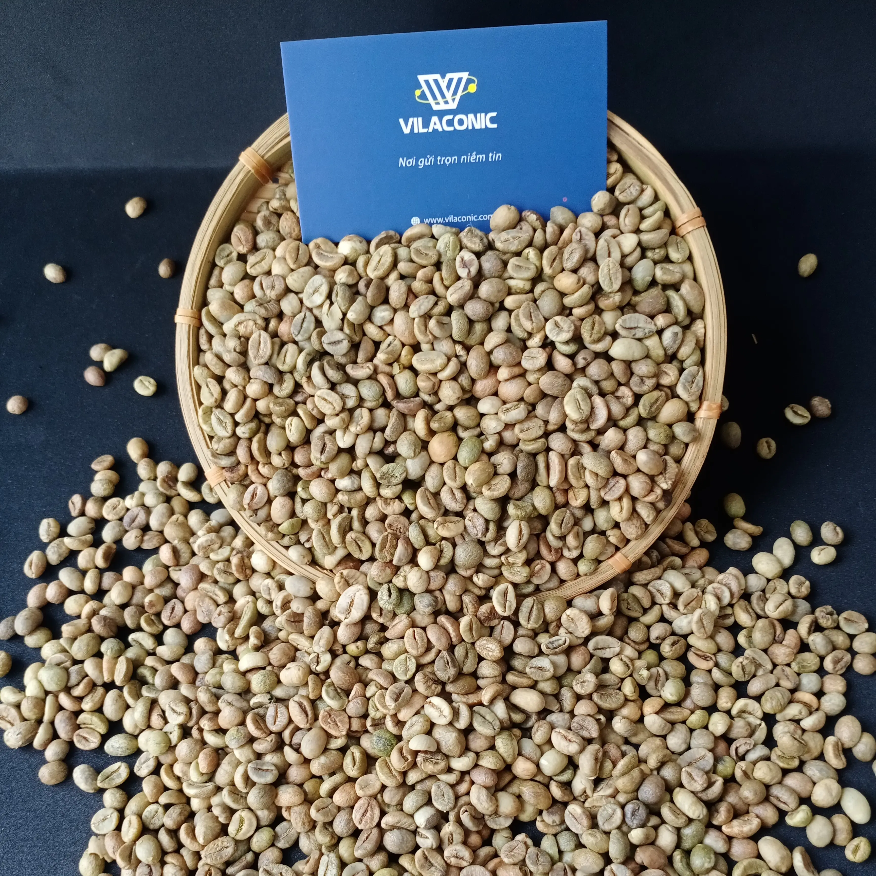 حبوب القهوة الخضراء من روبوستا الفيتنامي غير المعدلة ودرجة 1، للبيع بالجملة SCR13 SCR16 SCR18 غير مغسول ومطلي، تصدير رخيص