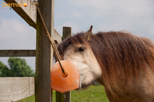 2025 Vente en gros de pierres à lécher au sel pour animaux, 1,5-2 kg de sel himalayen naturel, prix direct usine Pakistan, pour chevaux et animaux - Product Image 5