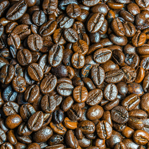 โรบัสต้าเมล็ดกาแฟแบบเปียกขัดเงาคุณภาพระดับพรีเมี่ยม - Product Image 4