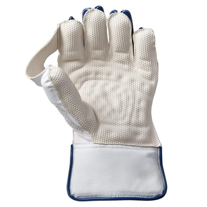 Gants de gardien de but en silicone imprimés sur mesure, fournisseur de cricket de boutique, fournisseur de marque pour clubs de cricket, équipement de cricket - Product Image 4
