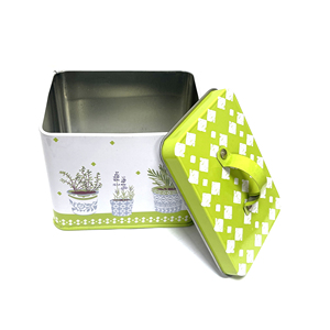 Caja Metálica Rectangular Personalizada con Impresión de Plantas, 90x65x78mm, con Asa, para Guardar Té, Galletas, Dulces y Regalos - Product Image 1