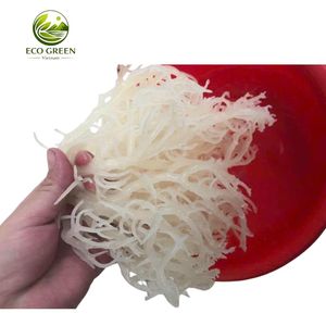 Mousse de mer séchée en vrac, mousse irlandaise premium, algues naturelles biologiques pour la fabrication de gels, smoothies, compléments alimentaires, alimentation - Product Image 3