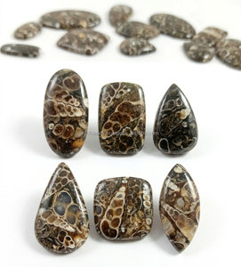 Venta al por Mayor de Cabujones de Ágata Turritella Únicos, en Forma de Pera Ovalada, Pulidos y Lisos, Ideales para la Fabricación de Joyería - Product Image 3