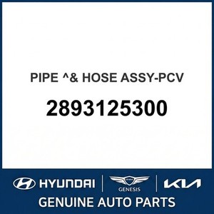 Repuestos y Accesorios para Autos y Camiones Sonata Nuevos 2893125300 - Product Image 1