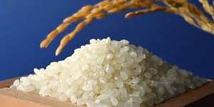 Arroz blanco de grano largo 5% roto de Vietnam Proveedor de confianza Precio de fábrica Estándar de exportación - Product Image 3