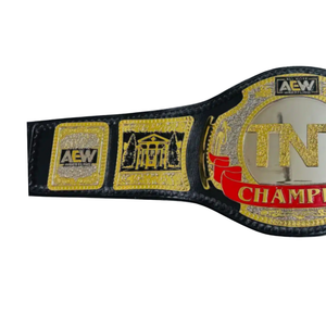 Ceinture de champion AEW TNT personnalisée, ceinture de lutte pour collectionneurs et fans - Product Image 4