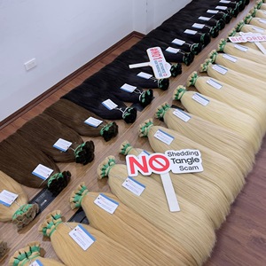 2025 extensión de cabello de mujer vietnamita cruda de moda cabello a granel de alta calidad - Product Image 1