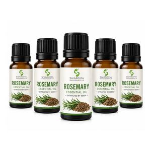Huile Essentielle Pure de Romarin en Gros, Naturelle, pour la Réparation Corporelle et les Soins de la Peau, Issu de Graines - Product Image 5