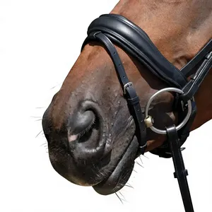 Bridon Snaffle avec têtière anatomique et muserolle de saut rembourrée en cuir souple, style anglais, fait main pour chevaux - Product Image 2
