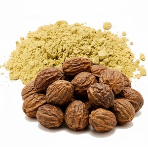 Poudre de Haritaki en vrac à mailles fines, qualité supérieure, 100 % naturelle, de qualité alimentaire, poudre de Terminalia Chebula, fournisseur en gros d'Inde - Product Image 3