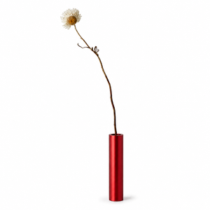 Florero de Metal con Recubrimiento de Polvo Negro, Soporte para una Sola Flor, Decoración Moderna para Mesa, Regalo de Lujo, Venta al Por Mayor de Fábrica - Product Image 5