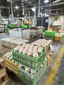 Solid Wood Furniture <b>Legs</b> Replacement for <b>Sofa</b> Cabinet Dresser Round Ottoman Feet OEM Factory Supply - Product Image 3