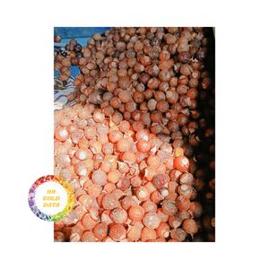 เมล็ดสบู่ออร์แกนิคคุณภาพดีที่สุดจากเวียดนาม สำหรับทำสบู่ซักผ้า ขายส่ง เมล็ดสบู่สีน้ำตาลธรรมชาติ - Product Image 4