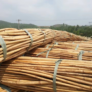 Vietnamese rattan export Raw & Natural Rattan Sticks - Product Image 1