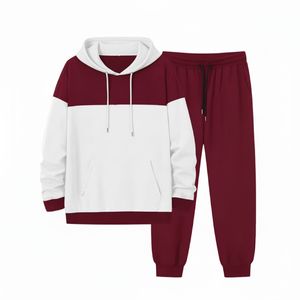Ensemble de survêtement personnalisé avec pantalon de jogging et sweat à capuche pour homme, marque privée, modèle vierge - Product Image 3