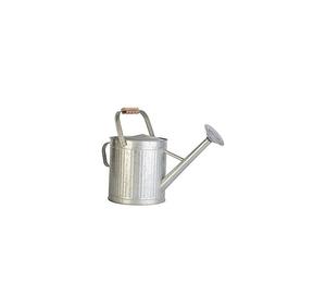 Compact Metal Watering Can Space Saving Design Perfect For <b>Small</b> Indoor Plants Balcony Gardening Use - Product Image 1