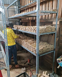 Bâton à mâcher en os de caféier pour chiens en bois de café de fournisseur d'animaux de compagnie Blue Lotus VIET NAM Mme Hani + 84 767 550 132 - Product Image 2