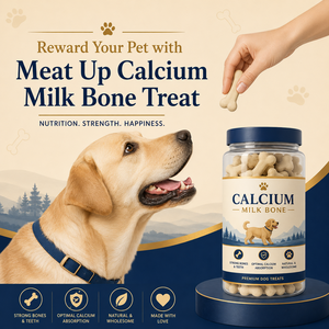 Natural Calcium Milk <b>Bone</b> Dog Treats for Strong <b>Bones</b> & Joints High Calcium Dental Chews for All Breeds OEM ODM Private Label - Product Image 6