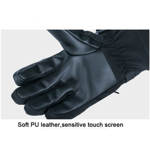 Ski <b>Gloves</b> Premium Thermal Outdoor <b>Gloves</b> Waterproof Snow Protection OEM Wholesale Supply - Product Image 3