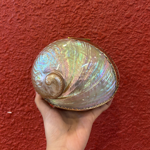 Vintage Oval <b>Abalone</b> <b>Shell</b> Jewelry Box | Natural Iridescent Scallop Case | Luxury Rainbow Shimmer Decor & Keepsake Gift - Product Image 5