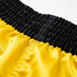 Pantalones Cortos de Muay Thai Estilo Retro Universal para Entrenamiento de MMA y Grappling - Product Image 5