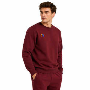 Sudadera suave para hombre con tela cálida y cómoda, ribetes acanalados, cuello limpio, corte regular y estilo sencillo para uso en exteriores. - Product Image 2