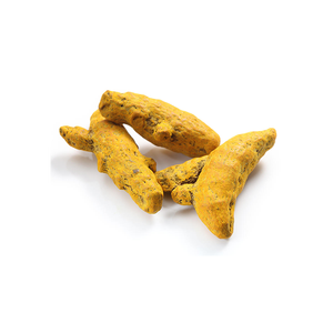 Fabricante de Dedos de Cúrcuma, Grado Alimenticio, Suministro al por Mayor a Granel - Product Image 5