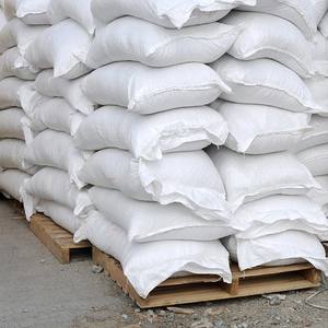 Polvo de Hoja de Moringa Orgánica Premium, Superalimento 100% Natural, Proveedor a Granel, Tamil Nadu, India, 24 Meses de Vida Útil, Terra Bio - Product Image 6