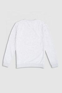 Sudadera de Cuello Redondo para Hombre, Manga Larga, Informal, Personalizada, Venta al Por Mayor - Product Image 4