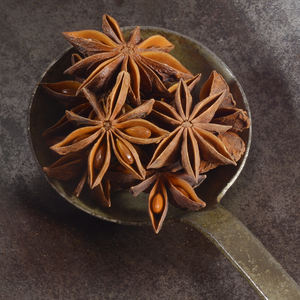 Anís Estrellado Seco Crudo Fresco de Primera Calidad de Vietnam y Oferta Especial de Exportación 2026 al por Mayor - Product Image 4