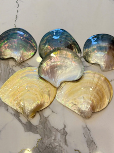 Plat en coquille naturelle éclatante |   FINITION ARC-EN-CIEL IRIDESCENTE |   ACCENTS UNIQUES ROSE NOIR JAUNE - Product Image 3