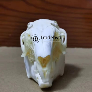 Figura Decorativa Artística de Resina con Forma de Animal, Hecha a Mano, de Primera Calidad, para Interiores Modernos, de Tradebyd - Product Image 3
